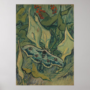 Van Gogh Reuzenpauw Nachtvlinder Vintage Natuurkun Poster