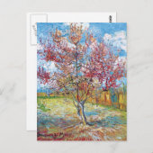 Van Gogh - Roze Perzikbomen Briefkaart (Voorkant / Achterkant)