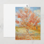 Van Gogh Roze Perzikboom in Blossom Briefkaart (Voorkant / Achterkant)