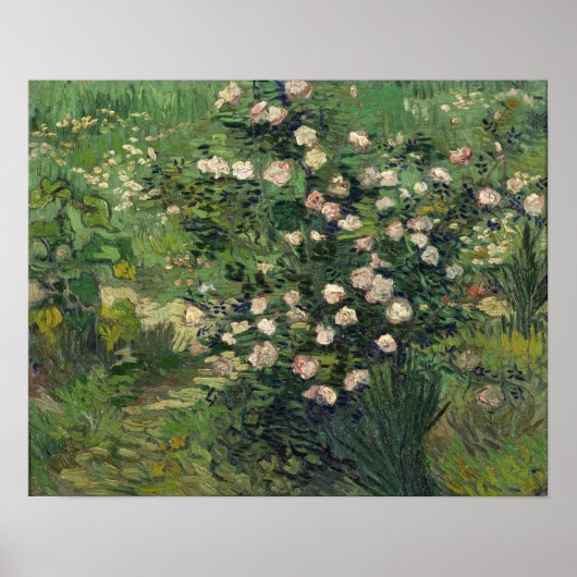 Van Gogh - Rozen Poster (Voorkant)