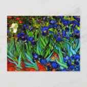 Van Gogh schilderij, Irises, Briefkaart (Voorkant)
