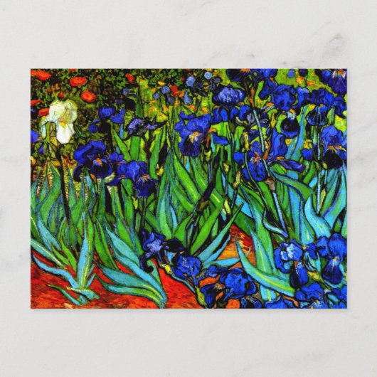 Van Gogh schilderij, Irises, Briefkaart (Voorkant)
