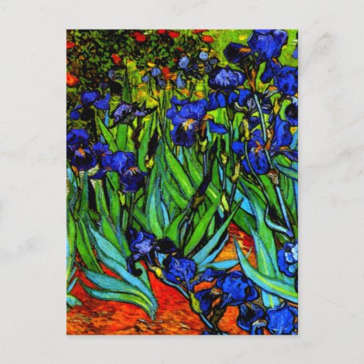 Van Gogh schilderij, Irises, Briefkaart (Voorkant)