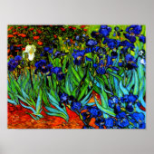Van Gogh schilderij, Irises, Poster (Voorkant)
