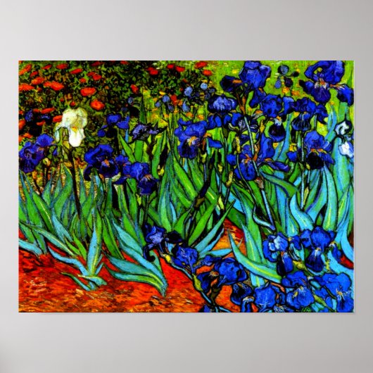 Van Gogh schilderij, Irises, Poster (Voorkant)