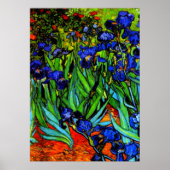 Van Gogh schilderij, Irises, Poster (Voorkant)