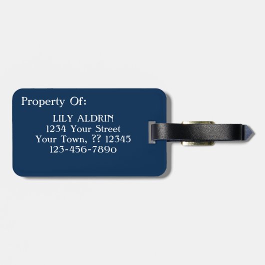 Van Gogh Self Portrait Grey Felt Pet schilderkunst Bagagelabel (Achterkant horizontaal)