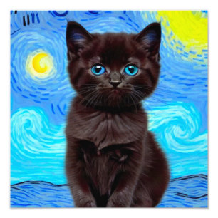 Van Gogh Sterrennacht Black Cat Foto Afdruk