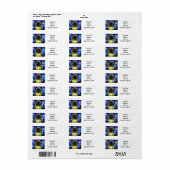 Van Gogh Sterrennacht Siamese kat Etiket (Full Sheet)