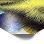 Van Gogh Sterrennacht Siamese kat Foto Afdruk (Hoek)