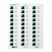 Van Gogh Stijl Pouting Kitten Etiket (Full Sheet)