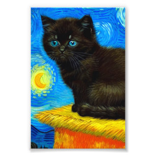 Van Gogh Stijl Sterrennacht Foto Afdruk