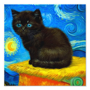 Van Gogh Stijl Sterrennacht Foto Afdruk