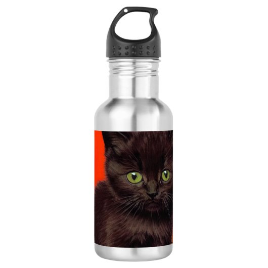 Van Gogh Stijl Zwarte Kat Waterfles (Voorkant)