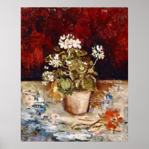 Van Gogh Stilleven met pot geraniums Poster