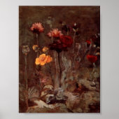 Van Gogh - Stilleven met Scabiosa en Ranunculus Poster (Voorkant)