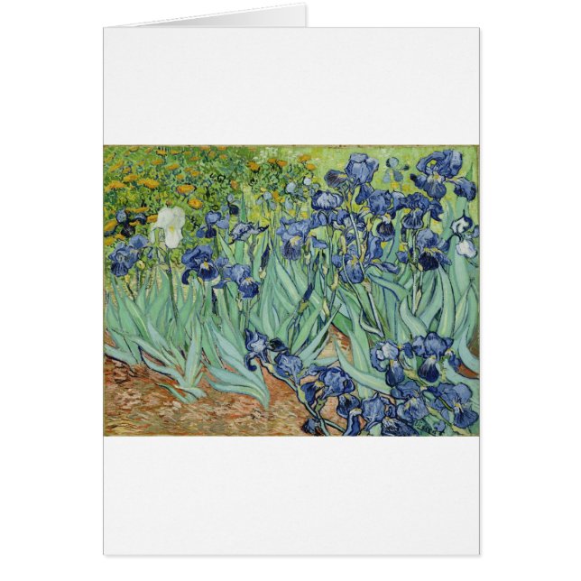 Van Gogh Stilleven: Vaas met Irissen (Voorkant)