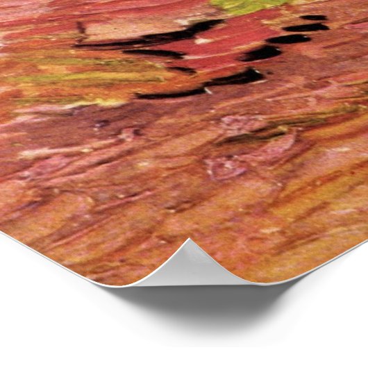 Van Gogh Stone Bench in Garden, St Paul Hospital Poster (Hoek)