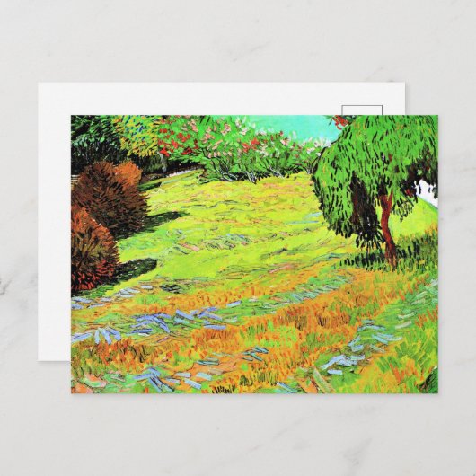 Van Gogh - Sunny Lawn in een openbaar park Briefkaart (Voorkant / Achterkant)