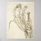 Van Gogh - Tassel Hyacinth Poster (Voorkant)