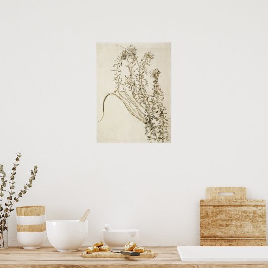 Van Gogh - Tassel Hyacinth Poster (Keuken)