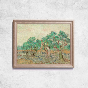 Van Gogh The Olive Orchard Trees Old Art Poster