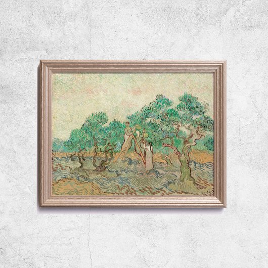 Van Gogh The Olive Orchard Trees Old Art Poster