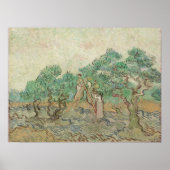 Van Gogh The Olive Orchard Trees Old Art Poster (Voorkant)