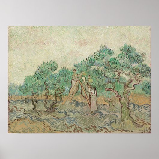 Van Gogh The Olive Orchard Trees Old Art Poster (Voorkant)