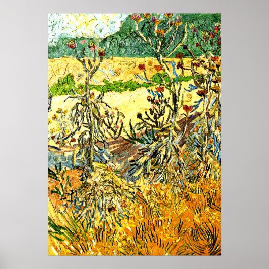 Van Gogh - Thistles, 1888 schilderij Poster (Voorkant)
