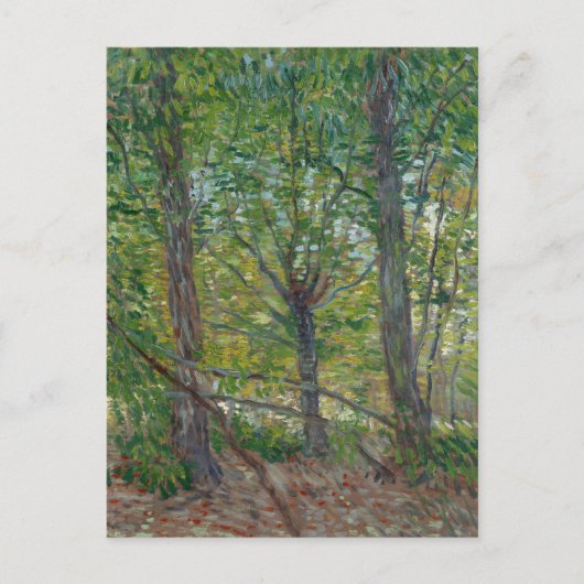 Van Gogh Trees en Underwood(F307) Fine Art Briefkaart (Voorkant)