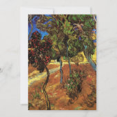 Van Gogh Trees in de tuin, Saint Paul Hospital (Voorkant)