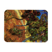 Van Gogh Trees in de tuin, Saint Paul Hospital Magneet (Horizontaal)