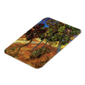 Van Gogh Trees in de tuin, Saint Paul Hospital Magneet (Linkerzijde)