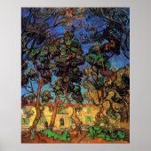 Van Gogh Trees in de tuin, Saint Paul Hospital Poster (Voorkant)