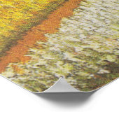 Van Gogh Tulip Fields Afbeelding Print (Hoek)