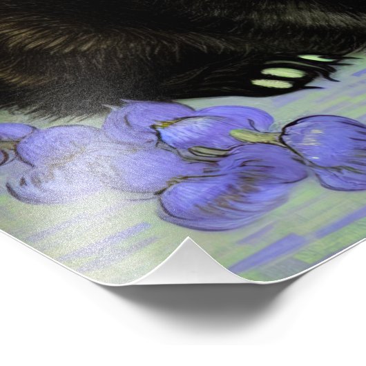 Van Gogh Tuxedo Kitten Foto Afdruk (Hoek)