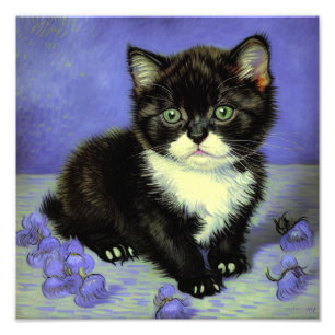 Van Gogh Tuxedo Kitten Foto Afdruk