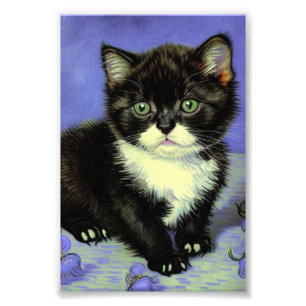 Van Gogh Tuxedo Kitten Foto Afdruk