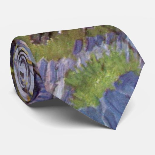 Van Gogh Uitzicht Arles Bloeiende tuin Stropdas (Opgerold)