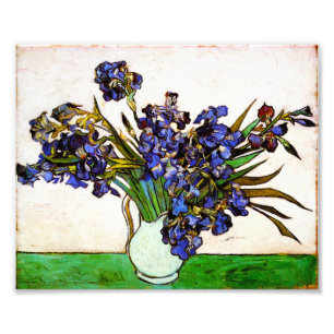 Van Gogh Vase of Irises Print Foto Afdruk