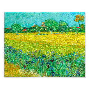 Van Gogh Veld met irissen bij Arles Foto Afdruk
