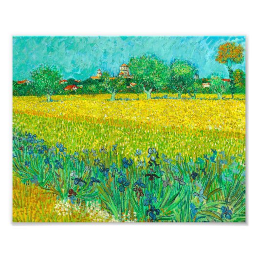Van Gogh Veld met irissen bij Arles Foto Afdruk (Voorkant)