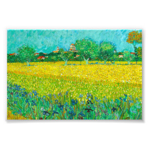 Van Gogh Veld met irissen bij Arles Foto Afdruk