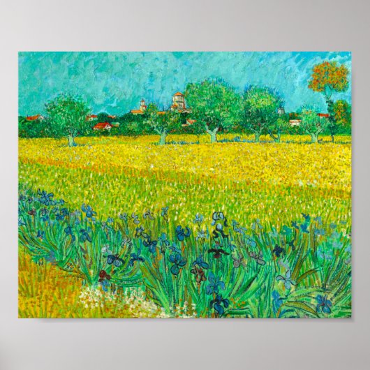 Van Gogh Veld met irissen bij Arles Poster (Voorkant)