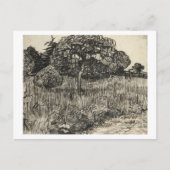 Van Gogh Weeping Tree on a Lawn Briefkaart (Voorkant)