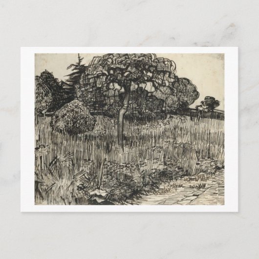 Van Gogh Weeping Tree on a Lawn Briefkaart (Voorkant)