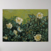 Van Gogh - Wilde Rozen Poster (Voorkant)