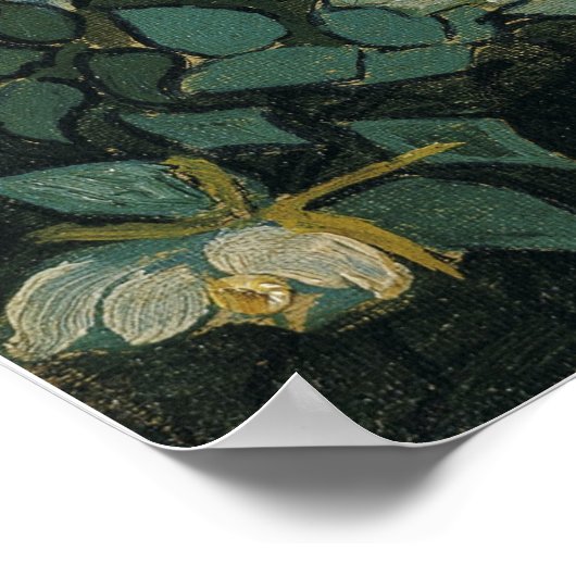 Van Gogh - Wilde Rozen Poster (Hoek)