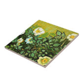 Van Gogh - Wilde Rozen Tegeltje (Zijkant)
